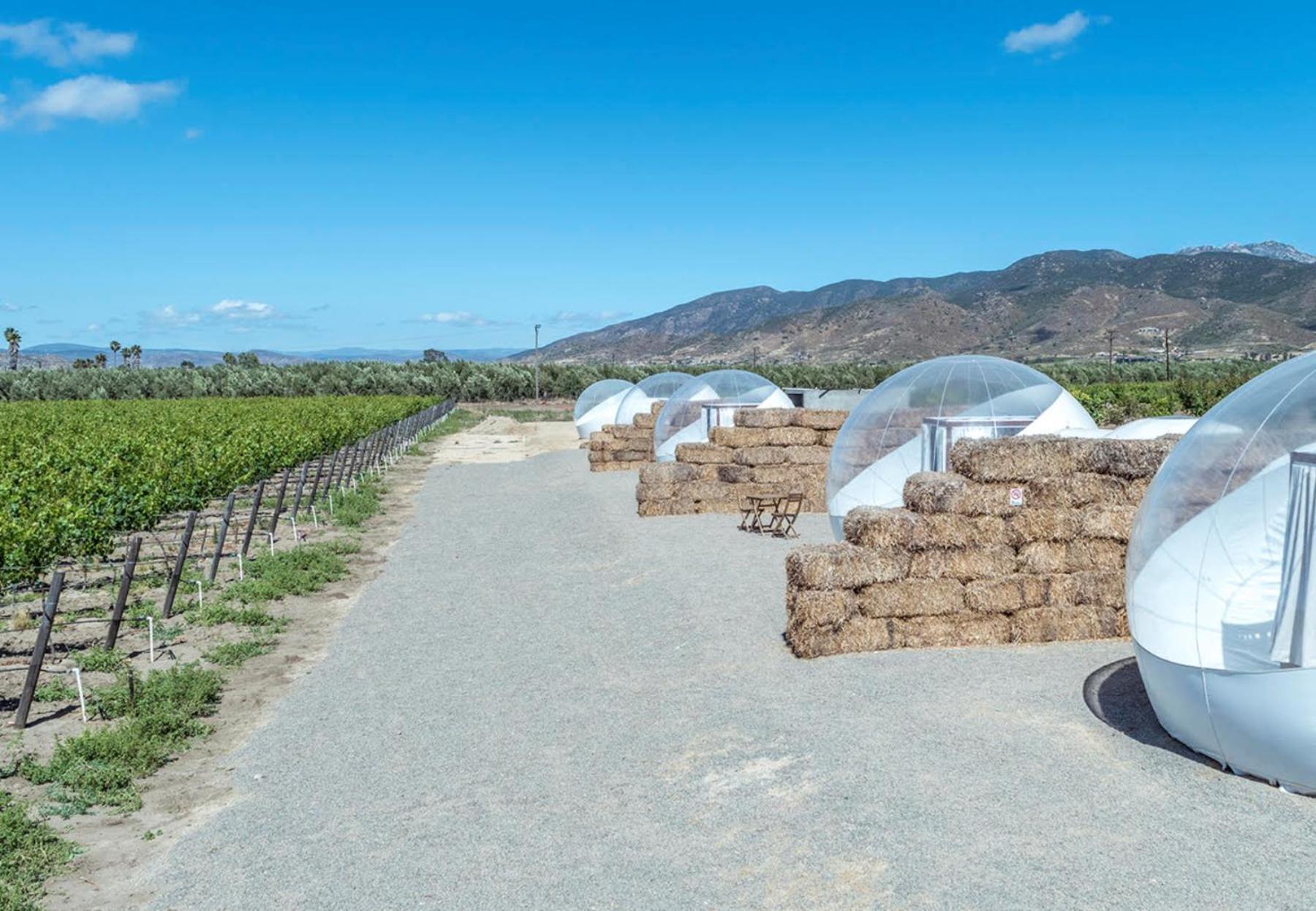 Campera Valle De Guadalupe Ensenada Eksteriør bilde